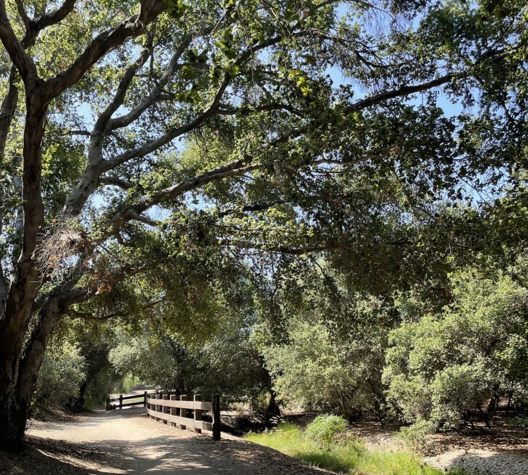 West Coyote Hills Tree Park (Fullerton,&nbspCA)